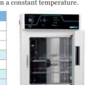 SMI Series — Microbiological Incubators